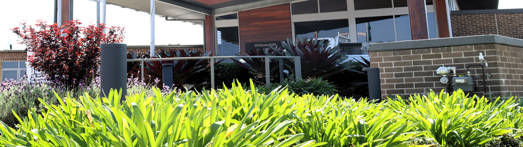 banner